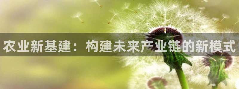 和记3官网