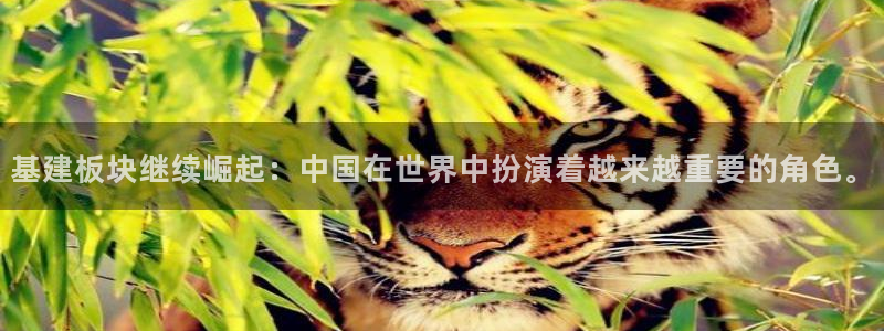 和记官网平台