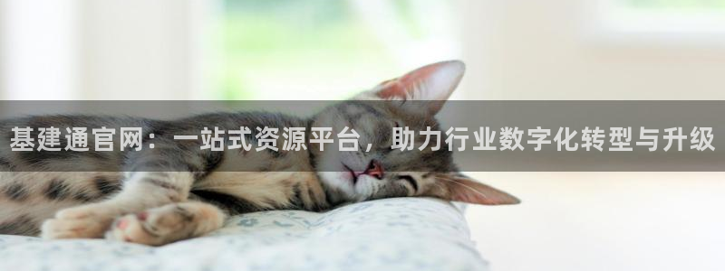 香港和记电讯官网